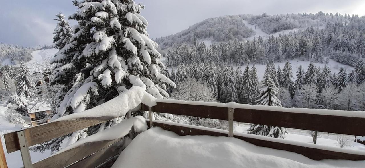 Les Oursons Du Hohneck Lägenhet La Bresse Exteriör bild